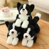 kf Hbc3809a05dac4508bfaf8c92acb194eeg - Border Collie Gifts