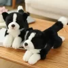 kf Hc9762ea327a34a13b384c11d23f88263K - Border Collie Gifts