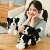 kf Hc9d30fe33bc0407a86492d56a7aa11a00 - Border Collie Gifts