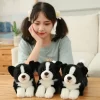 kf Hd53ff94ea86e4386a6f848ff74f66b75Z - Border Collie Gifts