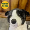 kf S4a8bc4d2b5124a0ba4479efca1fef32eh - Border Collie Gifts
