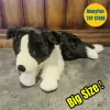 kf Sdf0ef06122764295b32d28909269f054p - Border Collie Gifts
